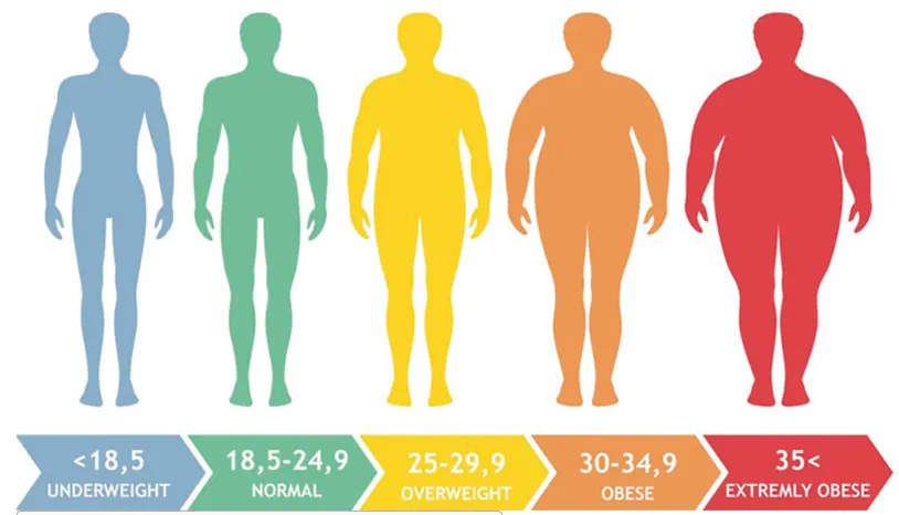 Body mass index ranges, from underweight to extremely obese